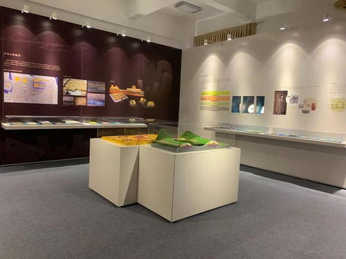 良渚之光 照耀雪域高原,浙博良渚文化展在西藏那曲开幕
