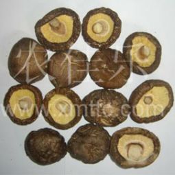 农佳乐香菇加盟 代理 农佳乐香菇加盟 电话 加盟费多少钱