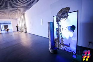 雅昌快讯 视频 第11届宋庄文化艺术节开幕 14家机构奉献50场展览点亮 艺术之光