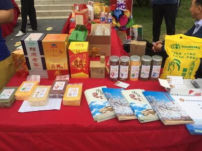 【初心故事】陈涛:为民办实事办好事,做党和人民满意的好干部