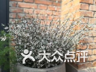 瑞光文化传播课程 价格 简介 怎么样 郑州学习培训