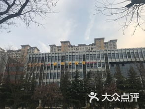 新阳光文化艺术学校课程 价格 简介 怎么样 泰安学习培训