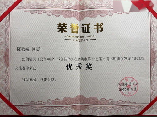2020 阳光文化 圆满收官