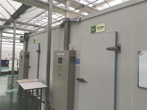 记者探访太阳光利用型植物工厂 流水线流淌秘密配方