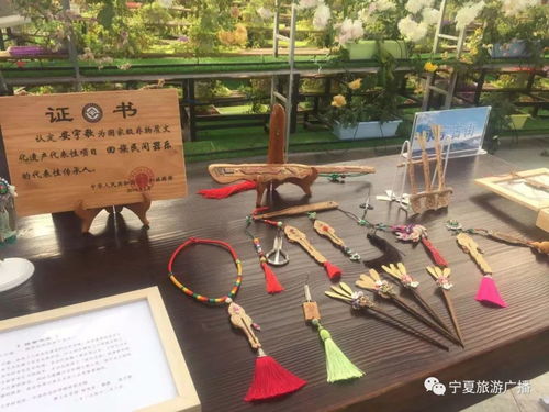 冬游宁夏 享受阳光——贺兰山下醉美永宁研学旅行基地授牌阳光文化
